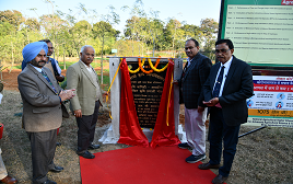 Three months certificate course/ curriculum on IFS for farmers