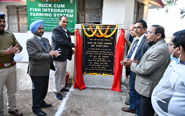 Three months certificate course/ curriculum on IFS for farmers